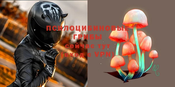 крисы Аркадак