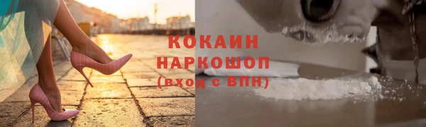 крисы Аркадак