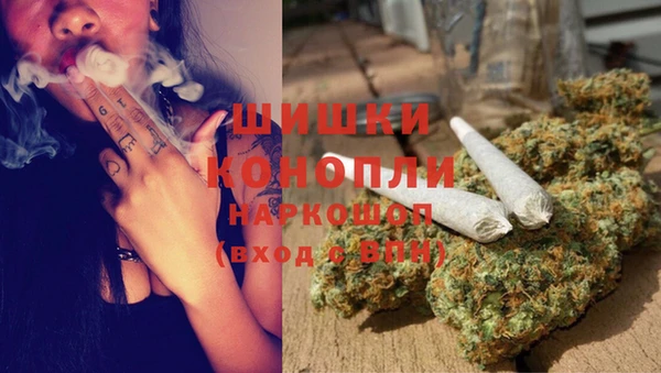 крисы Аркадак