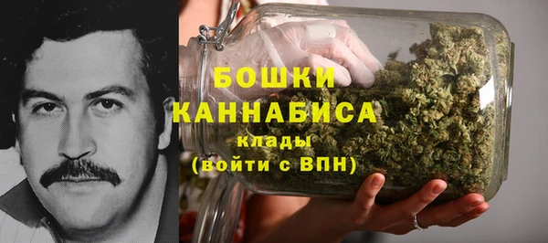 крисы Аркадак