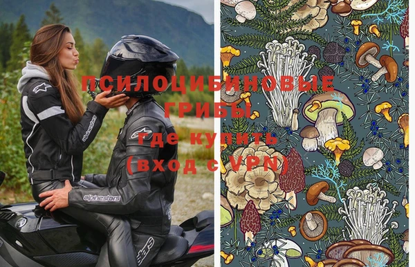 мяу мяу мука Армянск